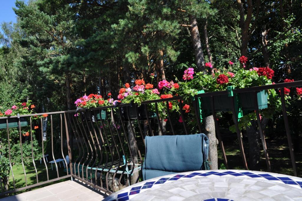 Agava Villa Palanga Luaran gambar